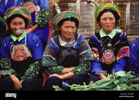 are han chinese indigenous to china